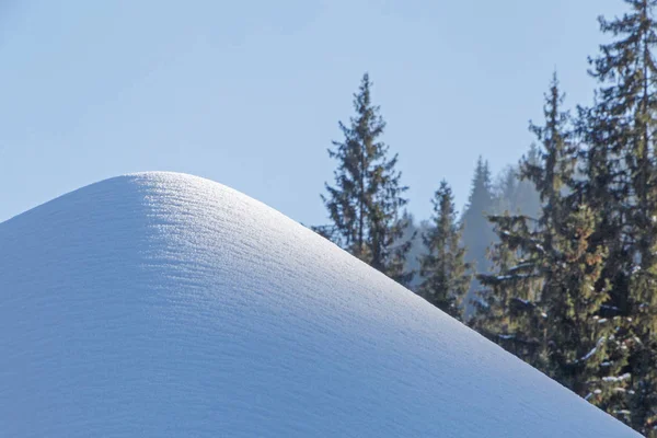 Montón de nieve en el bosque — Foto de Stock