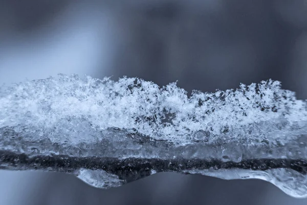 Gelo e neve no galho da árvore — Fotografia de Stock