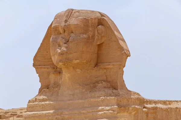 Close up of Great Sphinx — Stock Photo, Image