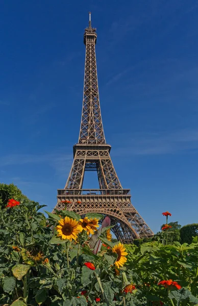 Эйфелева башня за цветами — стоковое фото