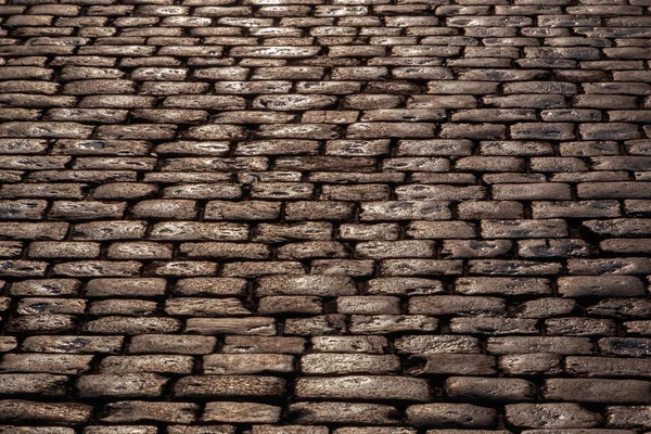 Wet cobblestone pavement — Stock Photo, Image