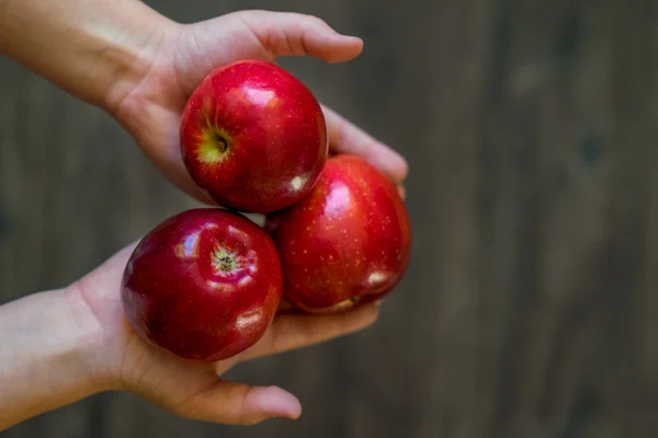 Baby hands close-up, holding three red apples — Stock Photo, Image