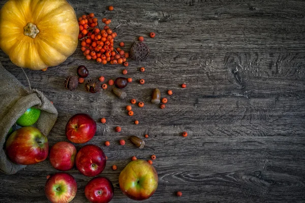  elma ve kabak kartopu koyu ahşap zemin üzerine