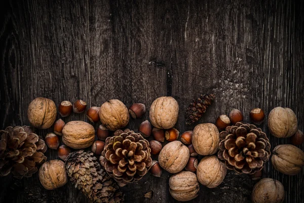 Noix, cônes de sapin, cônes de pin, sur un fond de bois foncé — Photo