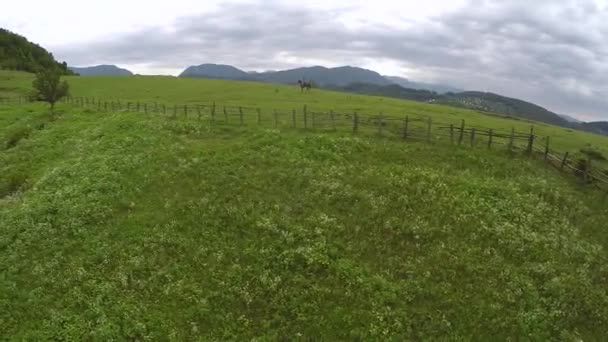 Девушка едет на лошади вдоль старых заборов — стоковое видео