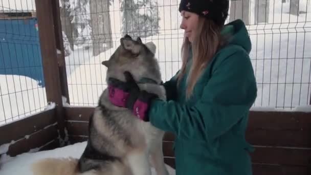 Smuk kvinde og lille barn gå om vinteren skov med af husky hund. Lykkelig ung mor med datter i vinterparken med slædehunde hund. Venskab kæledyr og menneske. Sibirisk husky hund i sne – Stock-video