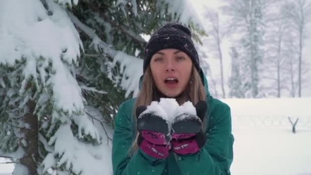 Szczęśliwa kobieta wymiotuje śniegiem rękami w lesie. Śnieg pada i błyszczy w słońcu. dziewczyna gra w zimie w parku na święta Bożego Narodzenia. — Wideo stockowe