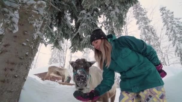 Ski resort entertainments. Yound woman and deer in the winter forest. Woman feed deer. Girl feed deer. Deer farm. — Stock Video