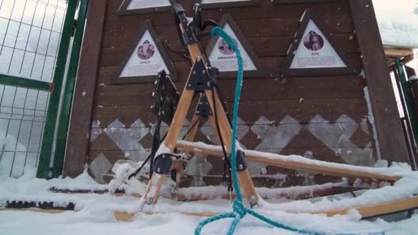 Skigebietsunterhaltung. Seitenansicht des Schlittens für Husky. Husky-Team. Huskyfarm. — Stockvideo