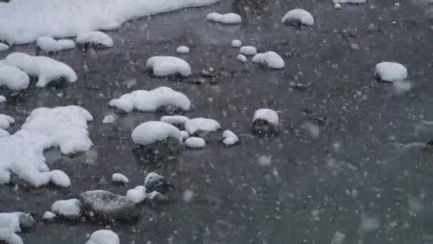 Una fuerte nevada i con un río en el fondo. Caída de nieve al río de montaña. Bosques del noroeste del Pacífico Bosque helado Escena de la naturaleza Movimiento lento de grandes copos de nieve — Vídeo de stock