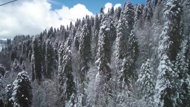 Donmuş ağaçlar ve karla kaplı çimlerle dağların üzerinden uçmak. 4K 'da insansız hava aracının doğal manzarası. — Stok video