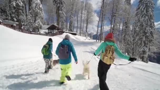 Přátelé se bavte na lyžařském středisku. Přátelé chodí s Huskym. Štěstí a chraptivost. Husky na lyžařském středisku. Zimní slunečný den v lyžařském středisku. — Stock video