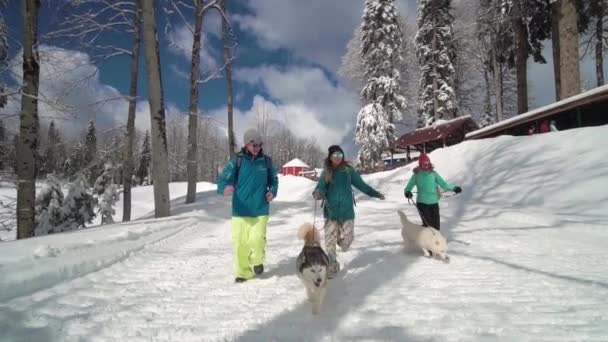 Los amigos se divierten en la estación de esquí. Los amigos caminan con husky. Felicidad y husky. Husky en la estación de esquí. Día soleado de invierno en la estación de esquí . — Vídeos de Stock