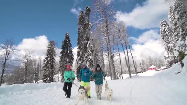 Los amigos se divierten en la estación de esquí. Los amigos caminan con husky. Felicidad y husky. Husky en la estación de esquí. Día soleado de invierno en la estación de esquí . — Vídeos de Stock