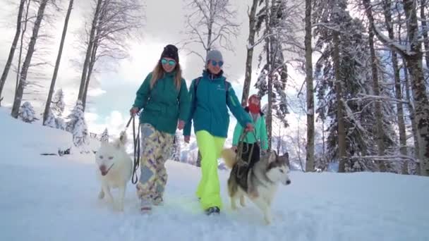 Os amigos divertem-se na estação de esqui. Os amigos andam com o husky. Felicidade e rouquidão. Husky na estação de esqui. Dia ensolarado de inverno na estância de esqui . — Vídeo de Stock