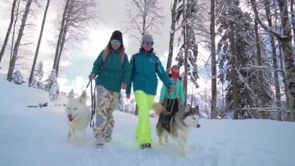 Vrienden hebben plezier op het skigebied. Vrienden lopen met husky. Geluk en husky. Husky op het skigebied. Zonnige winterdag in het skigebied. — Stockvideo