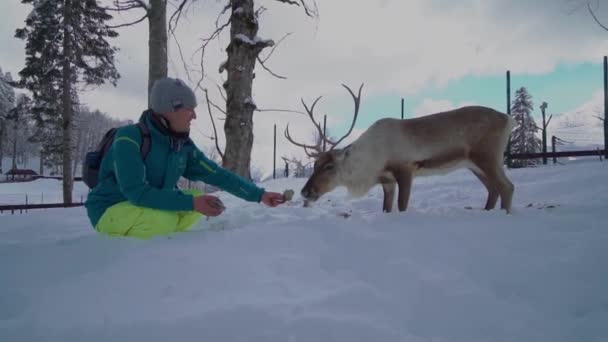 Vrienden hebben plezier op het skigebied. Skigebied vermaak. Consept van kerstvakantie. Een smilie man steekt zijn hand uit en voedt herten met grote hoorns in een hertenboerderij in het winterwoud. — Stockvideo