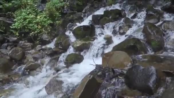 Górska rzeka w zielonym lesie tropikalnym. Wodospad tropikalny z pięknym małym strumykiem w lesie deszczowym — Wideo stockowe