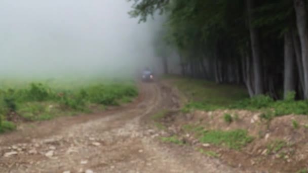 Tre crossover neri passano dalla nebbia alla magica foresta estiva. Rallentamento . — Video Stock