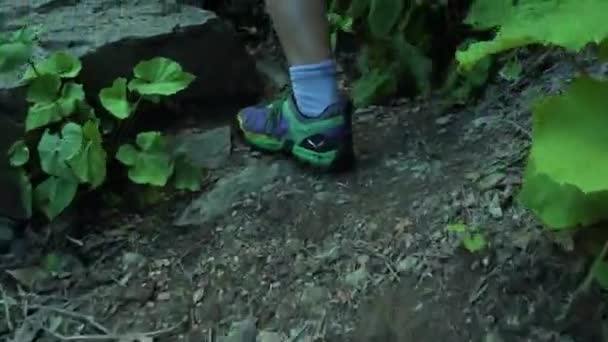 Gros plan des pieds du randonneur grimpé jusqu'à la cascade de montagne. jambes minces aller par la piste de montagne . — Video
