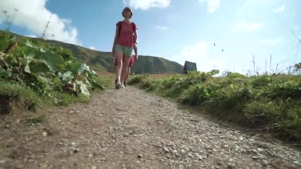 Jóvenes amigos excursionistas Caminando por las montañas. Vista trasera trasera de los amigos de Trekking en Trek con mochilas. HD Slowmotion Activo Estilo de Vida Filmación — Vídeo de stock