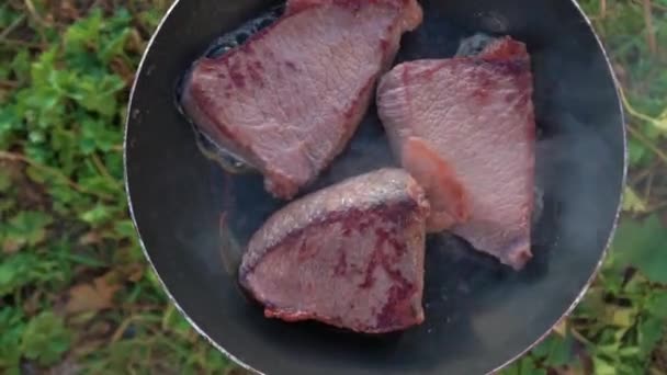 Blick von oben auf frittiertes saftiges Fleisch. Viel Rauch. Zeitlupe. Grill in der Natur. die Zubereitung von Braten auf dem Grill. — Stockvideo