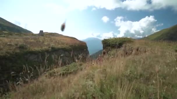 젊은 등산객 친구들 이 산을 걷고 있습니다. 배낭을 메고 걷고 있는 친구들의 뒷모습. — 비디오