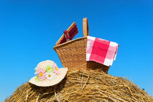 Cesta de piquenique no verão — Fotografia de Stock