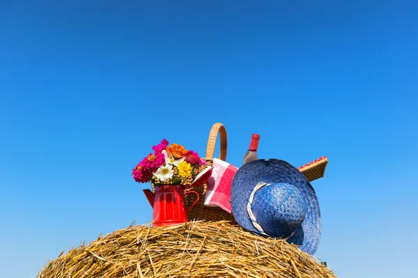 Piknikowy kosz i latem kapelusz w krajobraz rolnictwa — Zdjęcie stockowe