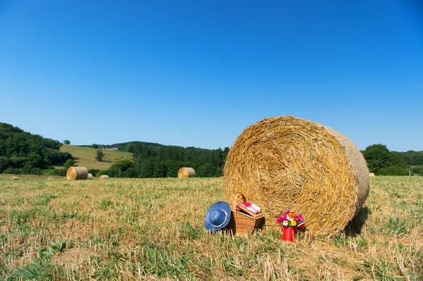 Picnic basket and summer hat in agriculture landscape — Stock Photo, Image