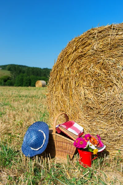 Piknik kosár és nyári kalap mezőgazdasági táj — Stock Fotó