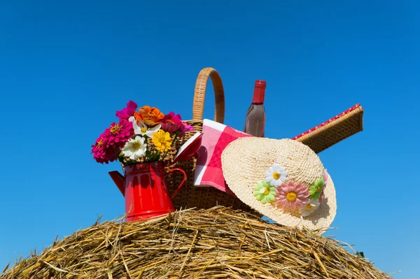 Cesta de picnic y sombrero de verano en el paisaje agrícola — Foto de Stock