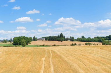 Tarım manzara Fransa