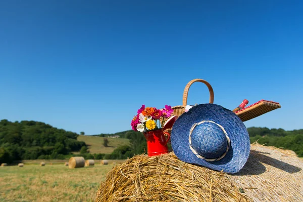 Picnic basket and summer hat in French agriculture landscape — Stock Photo, Image