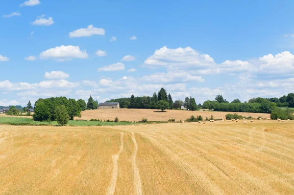 Landbouw landschap in Frankrijk — Stockfoto