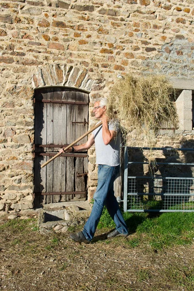 Agricultor con heno — Foto de Stock