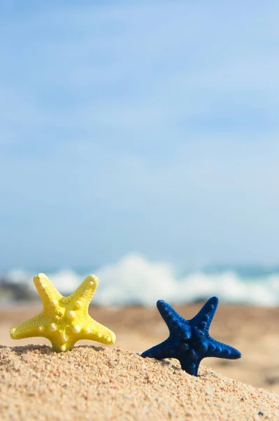 Starfishes en la playa —  Fotos de Stock
