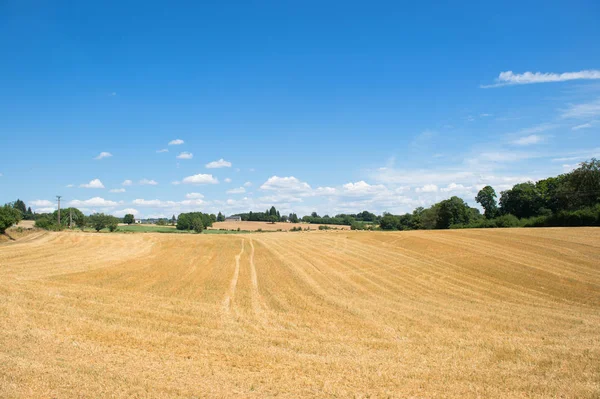 Paysage agricole en France — Photo