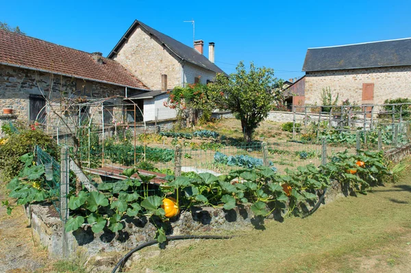 Vegetable garden in French hamlet — Stock Photo, Image