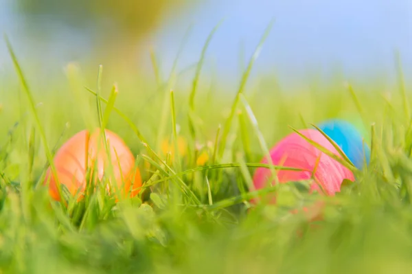 Coloridos huevos de Pascua —  Fotos de Stock