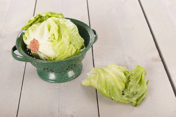 Crop salad in strainer — Stock Photo, Image