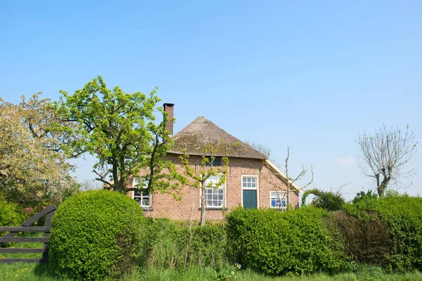 Typische oud-Hollandse boerderij — Stockfoto