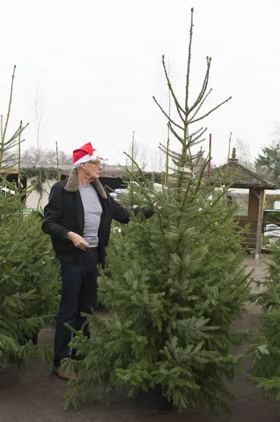 Een kerstboom kopen — Stockfoto