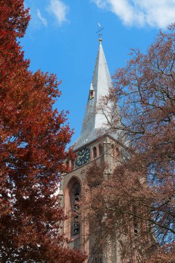 Ağaçların arkasında Hollanda churchtower