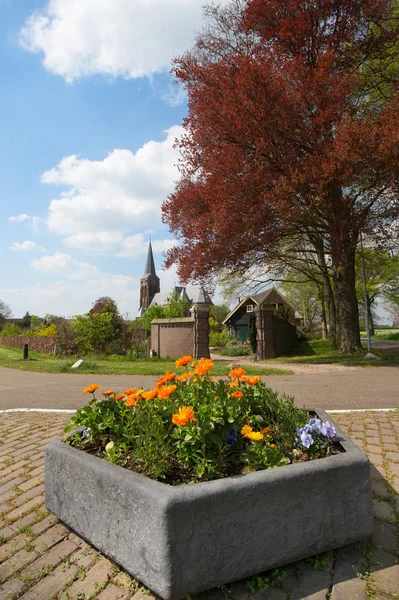 Fleurs dans le village néerlandais — Photo