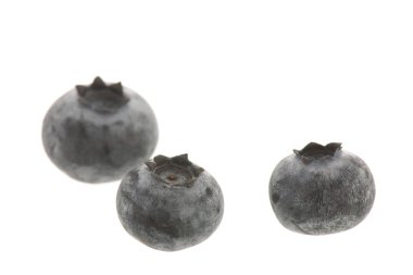 Beyaz bitti izole yaban mersini