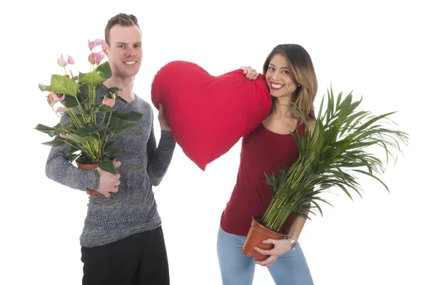 Huis versieren met planten — Stockfoto