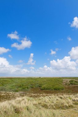 Dunes adlı Hollandalı sahil