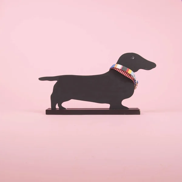 Tabuleiro de cão em rosa — Fotografia de Stock