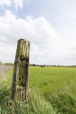 Eski ahşap kutup manzara